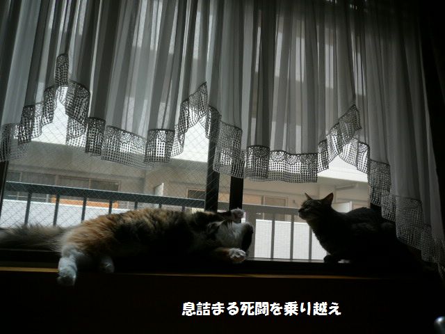 e0094407_16193660.jpg