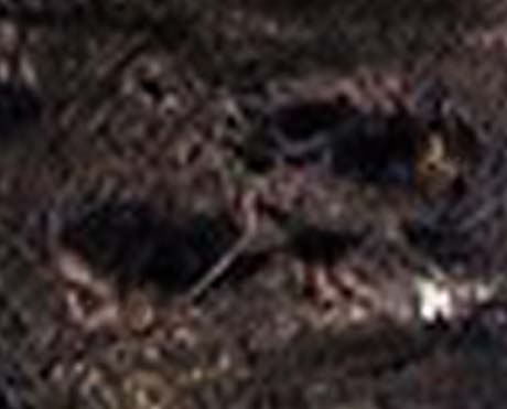 e0103408_21504.jpg