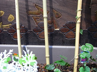 c0201910_1303554.jpg