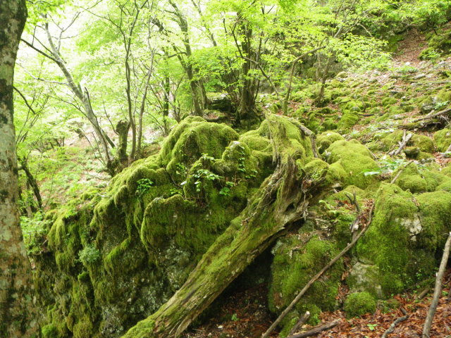 d0006512_22572893.jpg