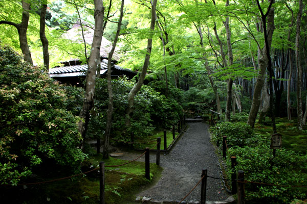 嵯峨野 祇王寺_e0048413_22384792.jpg