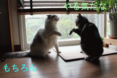 e0214720_15152811.gif