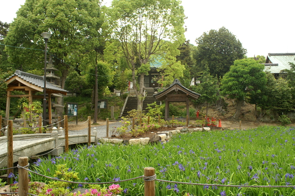 b0173224_17361338.jpg