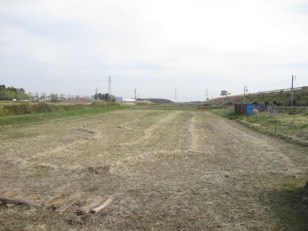 b0164132_15223240.jpg