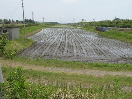 b0164132_1585550.jpg