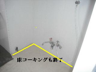 時間軸と思考連続体_f0031037_222396.jpg