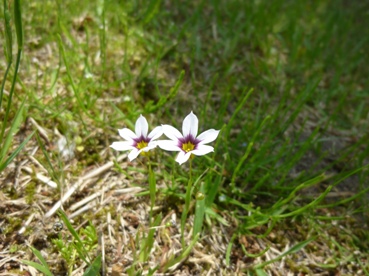 b0169238_21514658.jpg