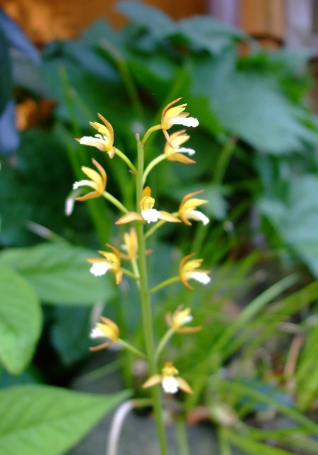 c0202242_6544761.jpg