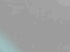 e0005548_21581053.gif
