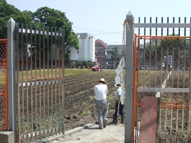 Preparation for Rice Planting Festival at Sumiyoshi Grand Shrine._e0046748_1740099.jpg