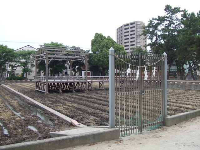 Preparation for Rice Planting Festival at Sumiyoshi Grand Shrine._e0046748_17403819.jpg