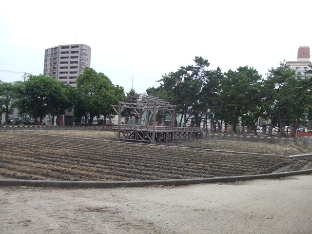 Preparation for Rice Planting Festival at Sumiyoshi Grand Shrine._e0046748_1741468.jpg