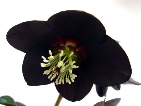 c0147952_0353356.jpg