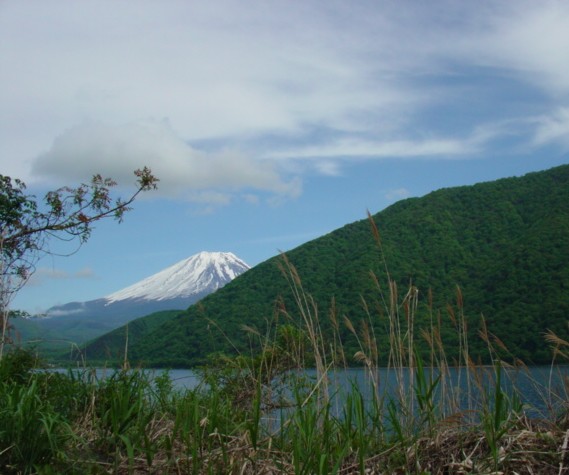 ♪富士は日本一の山♪_e0074955_18461476.jpg