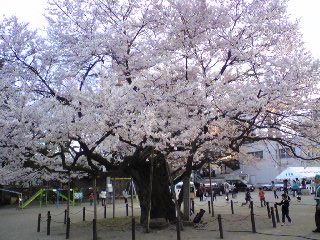 e0171455_10182657.jpg