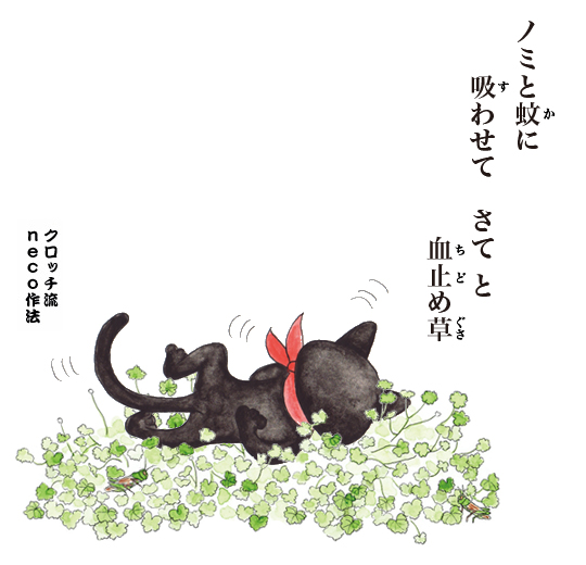 ノミと蚊に　吸わせて　さて と　血止め草_f0193056_17523128.jpg