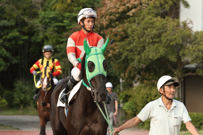 2011年5月20日(金) 高知競馬 6R B-4_a0077663_1823491.jpg