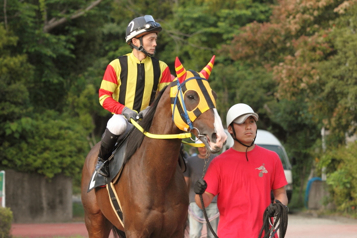 2011年5月20日(金) 高知競馬 6R B-4_a0077663_18235925.jpg
