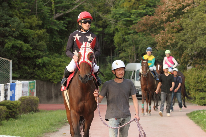 2011年5月20日(金) 高知競馬 6R B-4_a0077663_1824880.jpg