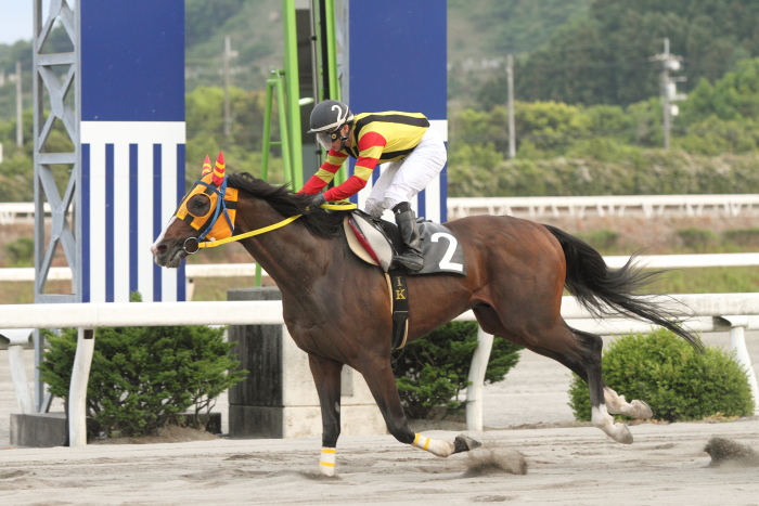 2011年5月20日(金) 高知競馬 6R B-4_a0077663_1825023.jpg