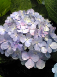 c0212669_1154845.jpg