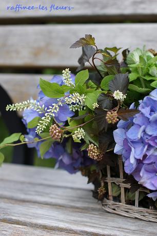 初夏のテーブルを彩るミントと紫陽花のコンポジション_b0176275_16563568.jpg