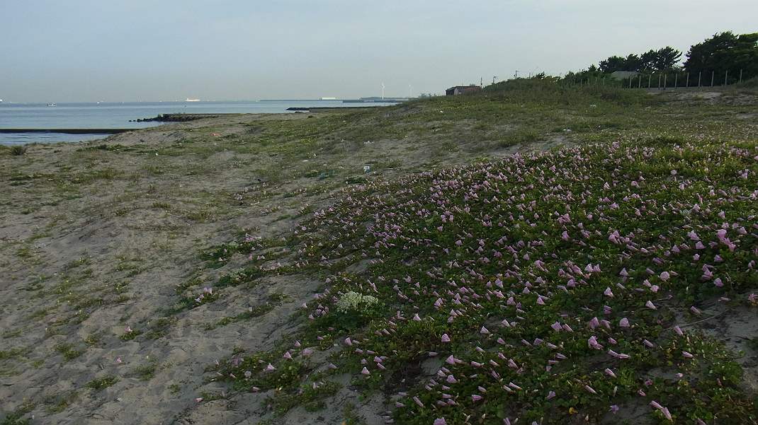 a0152692_18122796.jpg