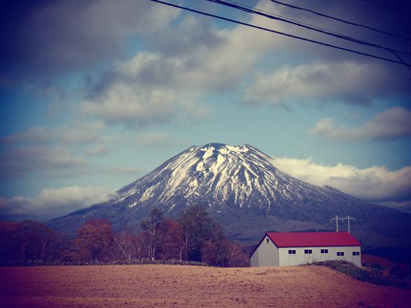 naoko simizu photo gallery_e0151400_19374356.jpg
