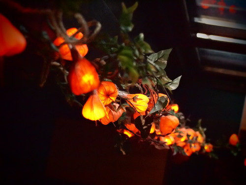 naoko simizu photo gallery_e0151400_19403783.jpg