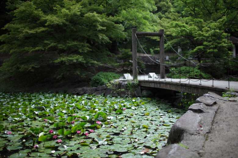 山田池公園_a0117507_2213392.jpg