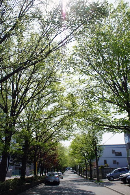 f0160407_4341956.jpg