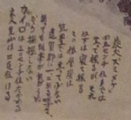 山本作兵衛の炭鉱画が世界記憶遺産に登録_d0116009_5531233.jpg