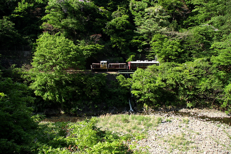 青葉 - 2011年・わたらせ -_b0190710_23492862.jpg
