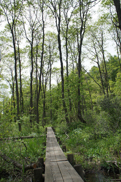 f0054610_20241437.jpg