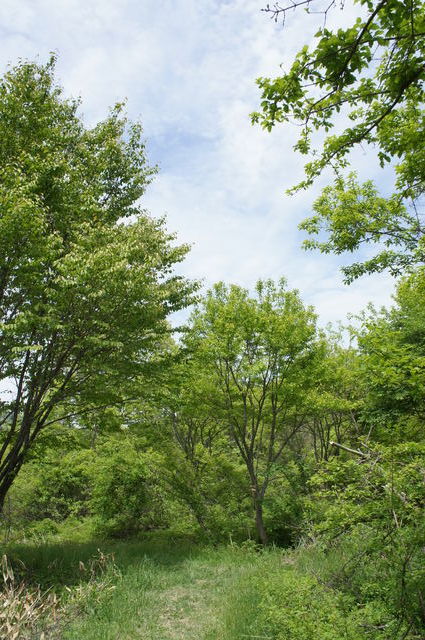 f0054610_2024378.jpg