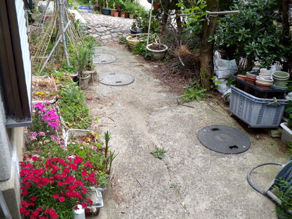 b0159611_16089.gif