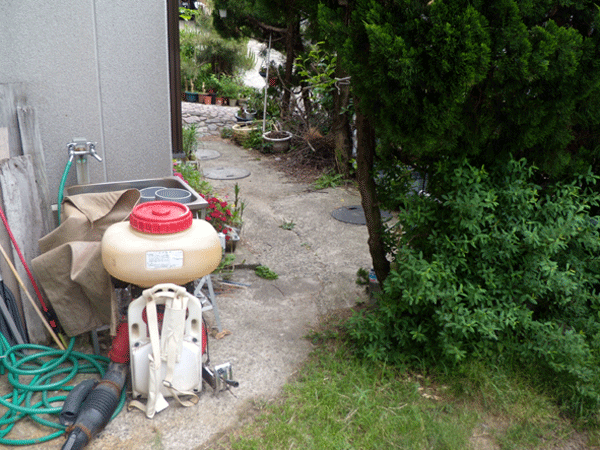 b0159611_17564.gif