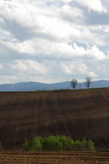 f0139911_2161474.jpg