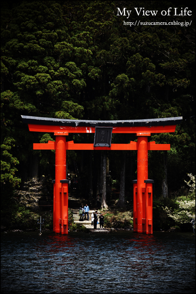難しい質問_f0100215_113799.jpg