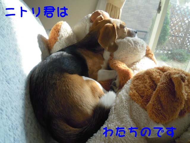 c0166622_9573655.jpg