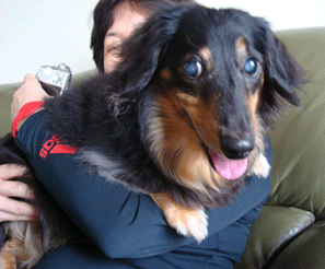 f0232522_8273241.gif