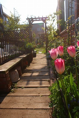 f0170524_1153473.jpg