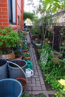 f0170524_11535767.jpg