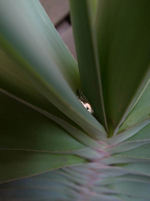 drop_b0172633_948715.jpg