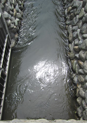 f0038336_6354042.jpg