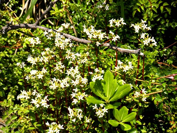 c0047341_82540100.jpg