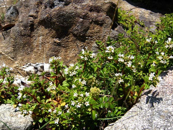 c0047341_8255180.jpg
