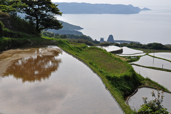 油谷の棚田_f0183556_839397.jpg