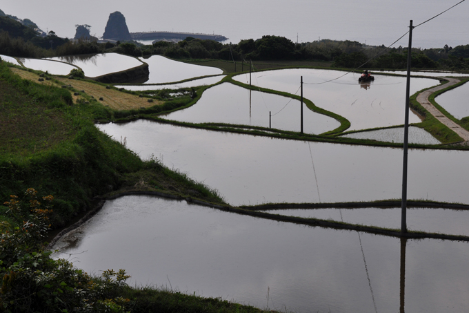 油谷の棚田_f0183556_8401233.jpg