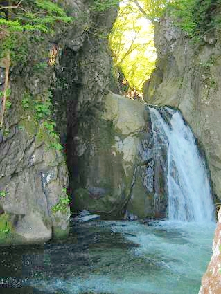 5月の新緑、宮城県加美郡加美町の薬莱山へ行ってきました。_a0025257_903091.jpg